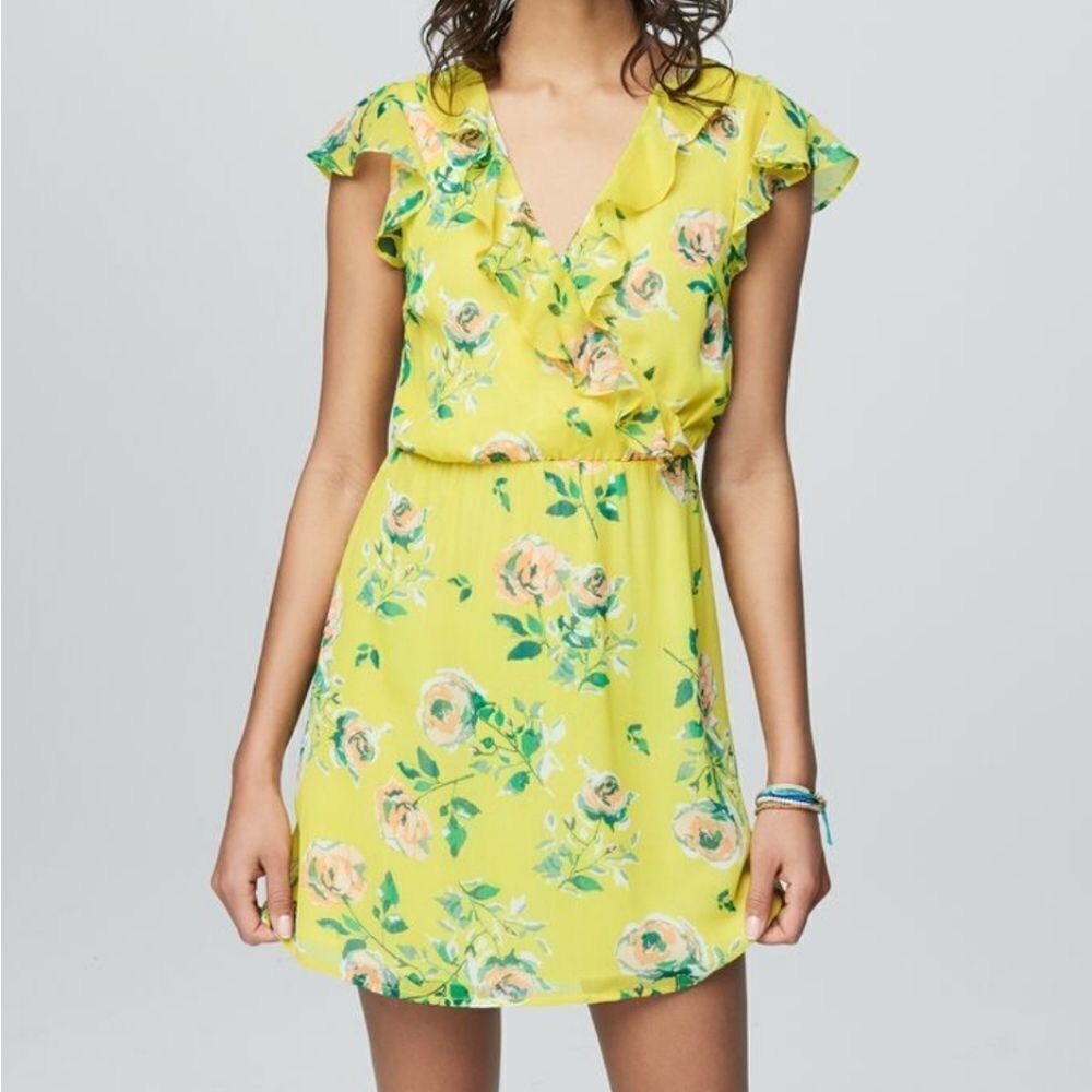 Aeropostale Prince and Fox Ruffled Floral Dress